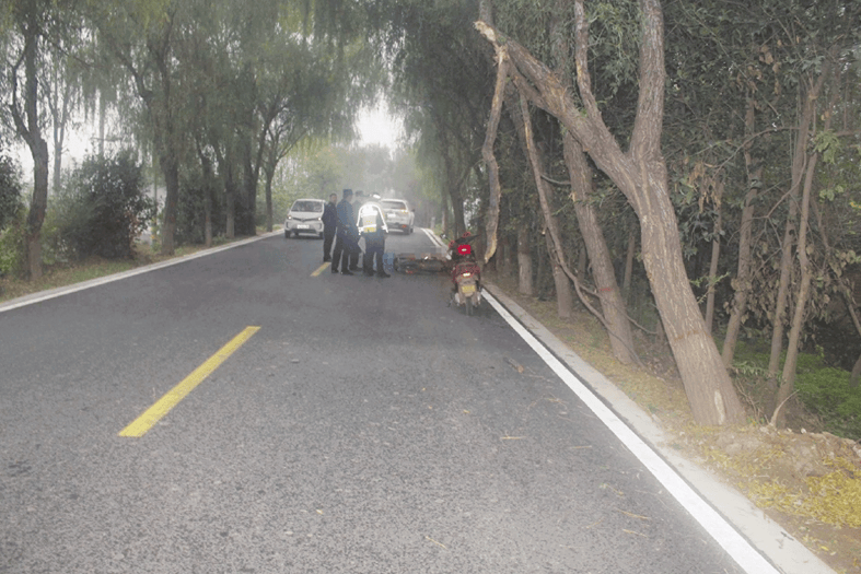 兴平一女教师骑车与公路边树木碰撞不幸身亡